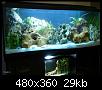         

:  tn_DSC02999.jpg
:  296
:  28,7 KB