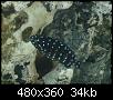         

:  tn_DSC02935.jpg
:  258
:  33,7 KB