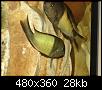         

:  tn_DSC02918.jpg
:  263
:  28,0 KB