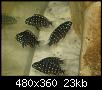         

:  tn_DSC02790.jpg
:  273
:  23,3 KB