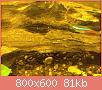         

:  ImageUploadedByTapatalk1415693066.537022.jpg
:  269
:  80,8 KB