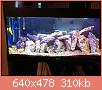         

:  ImageUploadedByTapatalk1416686178.175577.jpg
:  548
:  309,6 KB