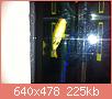         

:  ImageUploadedByTapatalk1416686280.038167.jpg
:  442
:  224,5 KB
