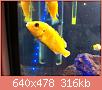         

:  ImageUploadedByTapatalk1416686297.057834.jpg
:  637
:  315,7 KB