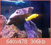         

:  ImageUploadedByTapatalk1416686505.366398.jpg
:  525
:  306,4 KB