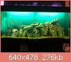         

:  ImageUploadedByTapatalk1416948317.037570.jpg
:  284
:  276,4 KB
