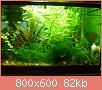         

:  DSC03166.jpg
:  570
:  81,9 KB