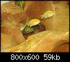         

:  tn_DSC02881.jpg
:  947
:  59,2 KB