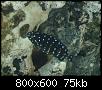         

:  tn_DSC02935.jpg
:  977
:  75,0 KB