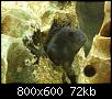         

:  tn_DSC03030.jpg
:  825
:  71,7 KB