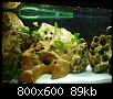         

:  tn_DSC03043.jpg
:  972
:  88,8 KB