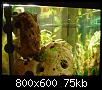         

:  tn_DSC03066.jpg
:  838
:  75,0 KB