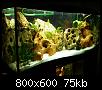         

:  tn_DSC03078.jpg
:  1284
:  75,3 KB