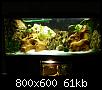        

:  tn_DSC03081.jpg
:  1515
:  60,9 KB