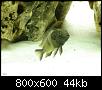         

:  tn_DSC03142.jpg
:  724
:  44,4 KB