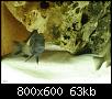         

:  tn_DSC03143.jpg
:  703
:  63,3 KB