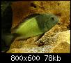         

:  tn_DSC03161.jpg
:  819
:  77,5 KB