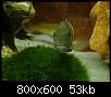         

:  tn_DSC03181.jpg
:  750
:  52,9 KB