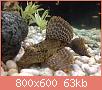         

:  IMG_4089.jpg
:  287
:  63,4 KB