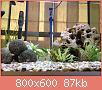         

:  IMG_3993.jpg
:  302
:  86,8 KB