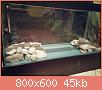         

:  uploadfromtaptalk1424603081690.jpg
:  1090
:  45,0 KB