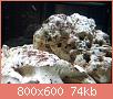         

:  uploadfromtaptalk1426032840916.jpg
:  269
:  74,4 KB