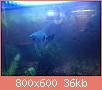         

:  ImageUploadedByTapatalk1426206753.531455.jpg
:  1037
:  35,8 KB