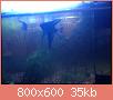         

:  ImageUploadedByTapatalk1426206768.256798.jpg
:  1005
:  35,2 KB