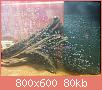         

:  uploadfromtaptalk1426686739511.jpg
:  280
:  80,2 KB