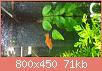         

:  uploadfromtaptalk1426791727172.jpg
:  268
:  71,2 KB