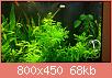         

:  uploadfromtaptalk1426791908941.jpg
:  233
:  67,7 KB