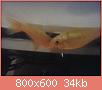         

:  1427146609477.jpg
:  215
:  34,5 KB