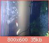         

:  1427306458666.jpg
:  169
:  35,4 KB