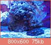         

:  P4090656.jpg
:  335
:  75,2 KB