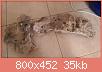         

:  uploadfromtaptalk1433434535417.jpg
:  478
:  35,5 KB