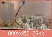         

:  uploadfromtaptalk1434213381092.jpg
:  478
:  29,0 KB