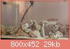         

:  uploadfromtaptalk1434213404036.jpg
:  470
:  28,9 KB