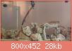         

:  uploadfromtaptalk1434213431610.jpg
:  466
:  28,3 KB