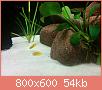         

:  uploadfromtaptalk1435245206478.jpg
:  250
:  54,5 KB