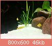        

:  uploadfromtaptalk1435245284493.jpg
:  224
:  45,7 KB