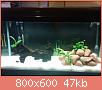         

:  uploadfromtaptalk1435245301919.jpg
:  264
:  46,9 KB