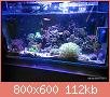         

:  uploadfromtaptalk1435261880492.jpg
:  775
:  112,2 KB