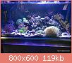         

:  uploadfromtaptalk1435261904288.jpg
:  712
:  118,6 KB