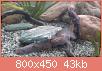         

:  uploadfromtaptalk1435750840741.jpg
:  239
:  43,5 KB