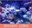         

:  uploadfromtaptalk1435956105056.jpg
:  334
:  128,2 KB
