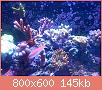         

:  uploadfromtaptalk1435956132442.jpg
:  326
:  144,9 KB