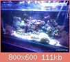         

:  uploadfromtaptalk1435956151018.jpg
:  326
:  111,1 KB