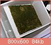         

:  tank05.jpg
:  431
:  84,0 KB
