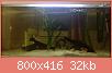         

:  ImageUploadedByTapatalk1437841082.034417.jpg
:  321
:  32,3 KB