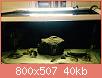         

:  ImageUploadedByTapatalk1438793078.581780.jpg
:  391
:  40,1 KB